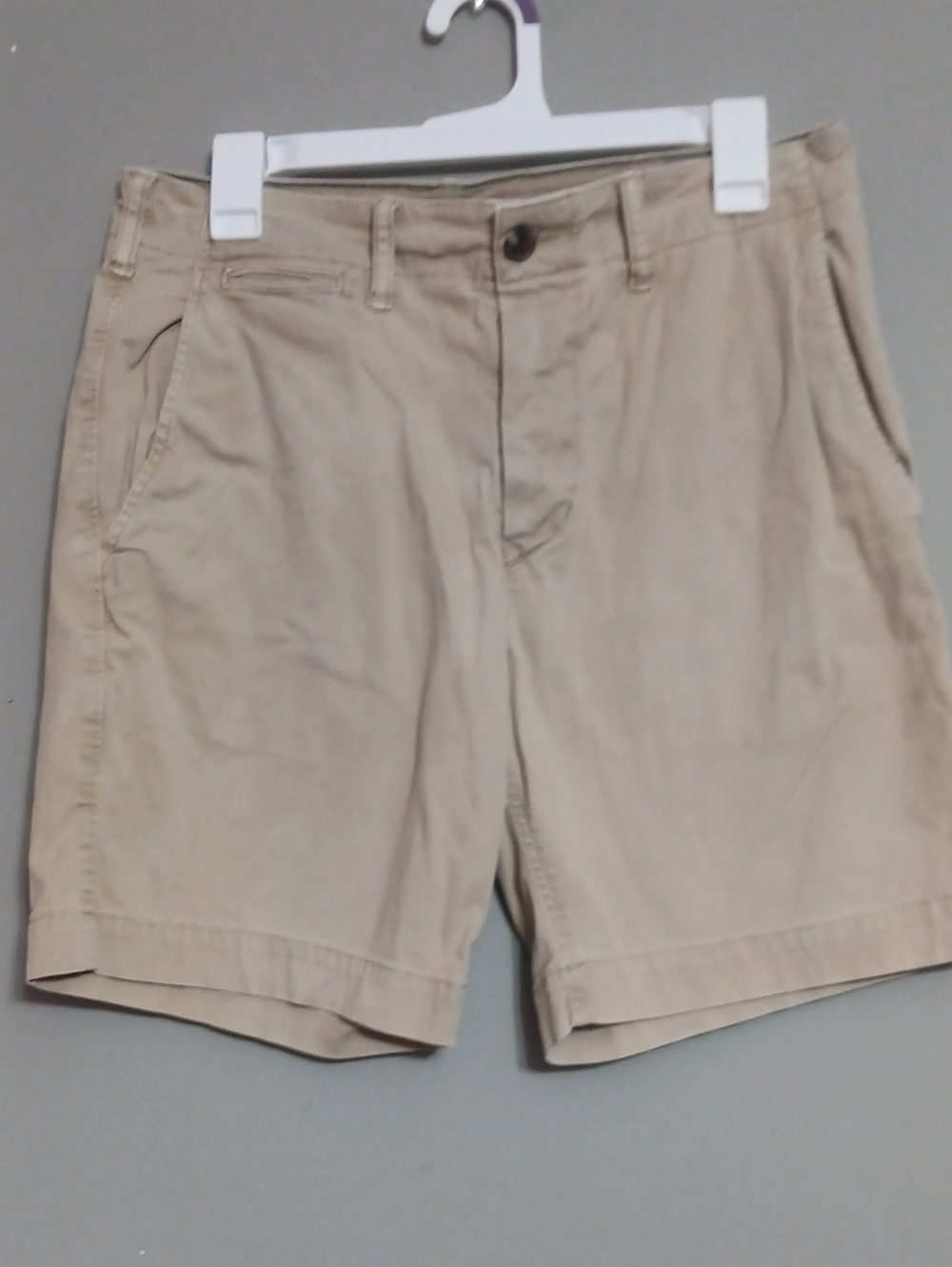 American Eagle Outfitters Tan Flat Front Chino Shorts